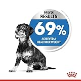 Royal Canin Light Weight Care X-SMALL | 1,5 kg | Alleinfuttermittel für ausgewachsene sehr kleine Hunde ab dem 10. Lebensmonat | Für Hunde mit Neigung zur Gewichtszunahme