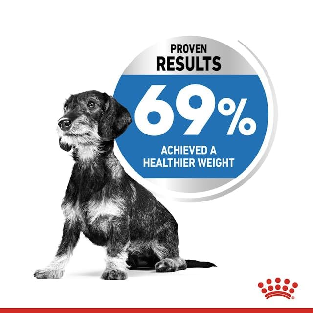 Royal Canin Light Weight Care X-SMALL | 1,5 kg | Alleinfuttermittel für ausgewachsene sehr kleine Hunde ab dem 10. Lebensmonat | Für Hunde mit Neigung zur Gewichtszunahme