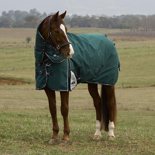 Couverture cheval pluie Weatherbeeta ComFiTec Plus 100g - 3