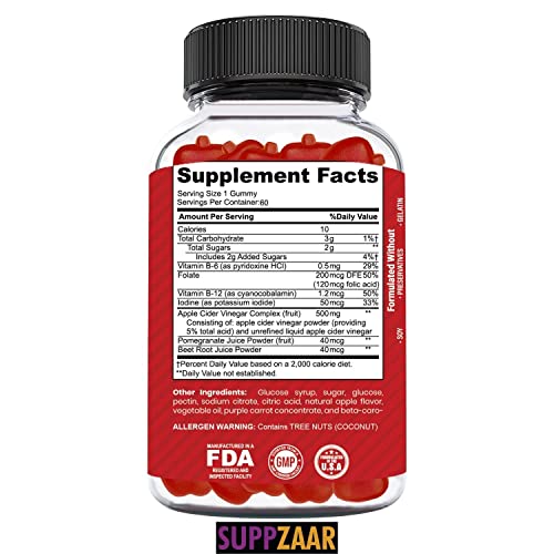 Suppzaar Vegan Apple Cider Vinegar Gummies With The Mother, 500Mg 60 Servings - Acv Gummies For Immune System, Digestion, Natural Detox & Cleanse - Alternative To Apple Cider Vinegar Capsules #TOP5
