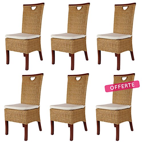 Rotin Design Lot de 6 chaises Racine Miel en Osier