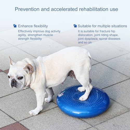Disco de equilibrio con cojín oscilante para el entrenamiento de perros 6