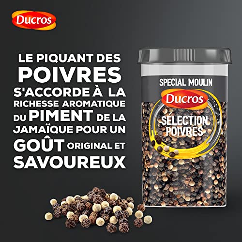 Ducros spécial moulin poivres et épices - vue 3