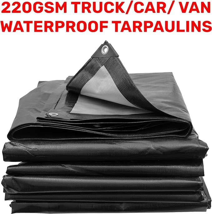 View 8
