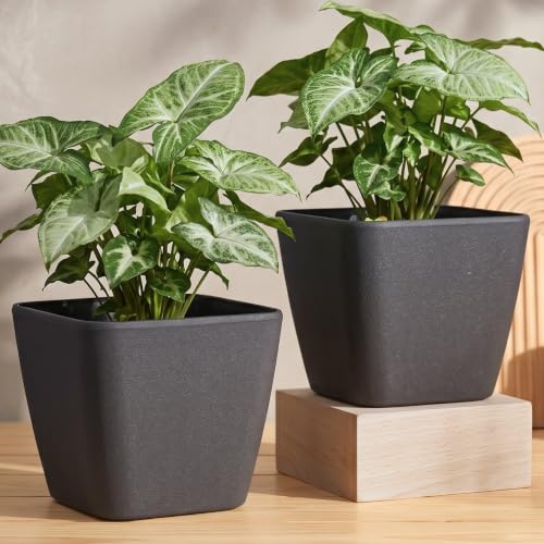 Image of Eha Earth-Friendly Daisy 9 inch Pots and Planters Made with Rice Husk, Set of 2
