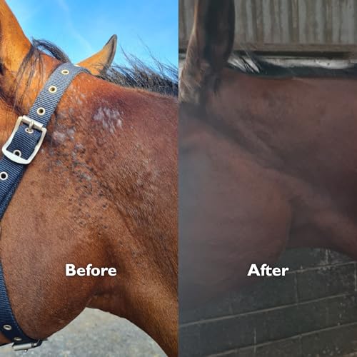 Anicura Horse Relief Spray – Soothes Itchy, Dry & Sensitive Skin – Provides Comfort for Sweet Itch, Irritation & Flaky Skin – Gentle, Natural Care for Healthy Skin & Coat - Image 4