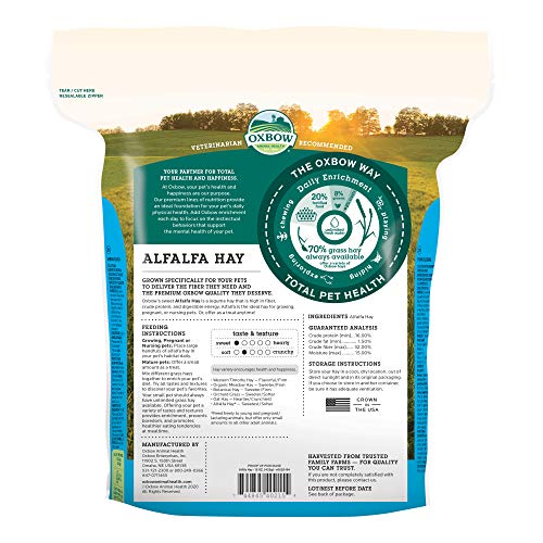 Oxbow Animal Health Alfalfa Hay, For Rabbits, Guinea Pigs, And Small Pets, Grown In The Usa, Hand-Selected And Hand-Sorted, 15 Ounce #TOP1