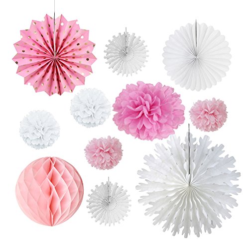 SUNBEAUTY Papier Rosace Rose Poudre Blanc Pompom Soie Boule Decoration Salle de Classe Chambre Fenetre Mur 11pcs