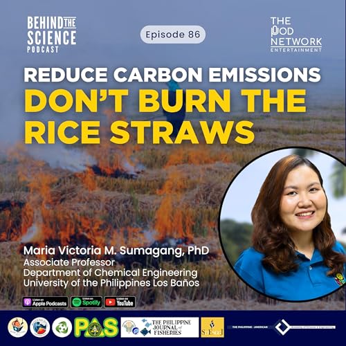 Ep86 - Sustainable management of rice straws Podcast Por  arte de portada