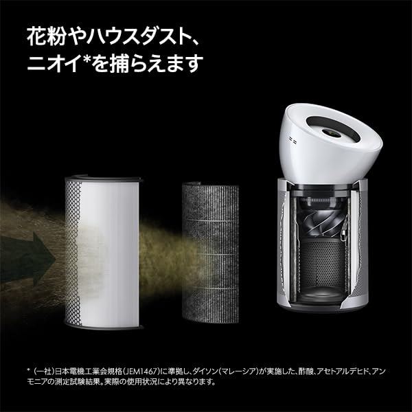 Amazon.co.jp: Dyson Purifier Big+Quiet Air Purifier for Living