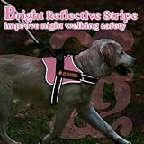 rabbitgoo Dog Harness Medium, Adjustable No Pull Harness for Dogs, Easy Wearing with One Buckle, Breathable Reflective Pet Vest with Control Handle for Walking Training, Pink, M - Image 9