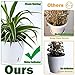 Planterhoma 5 Inch Self Watering Pots for Indoor Plants, 6 Packs African Violet Pots with Indicator, Black Wick Pot with Drainage Holes, Self Watering Planters for Orchid, Devil's Ivy, White