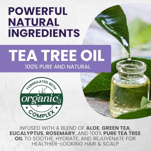 Image of KESMEDIK Tea Tree Purple Shampoo for Bleached Blonde, Silver & Gray Hair, Anti-Brass Toning, Cleans & Hydrates Hair, Refreshes Itchy Scalp, Sulfate-Free Botanical Formula, 16 fl oz