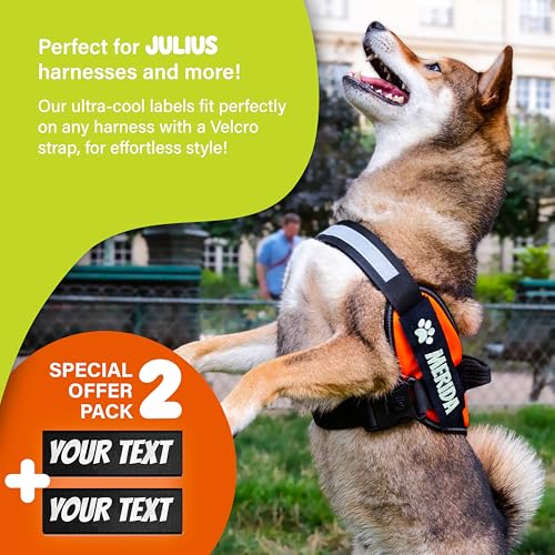 Pack of 2 Customizable Labels for Tactical Harness - 2 Custom Hook and Loop Patches Compatible with Every Harnesses - Choose Your Text, Design, Logo, Color, Size and Font (Black, 8x2cm)