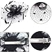 Sombrero Pluma Malla,INTVN Sombrero Tocado Pelo Elegante Pluma Clip Hat Boda Coctel...