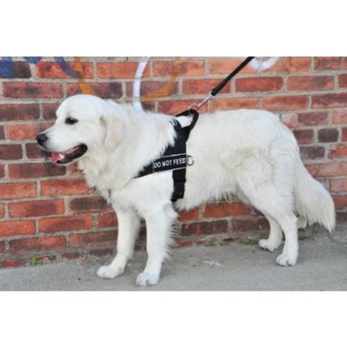 Dean & Tyler Dt Universal No Pull Dog Harness - Strong Neoprene Nylon - Medium - Do Not Feed Patches - Made In Europe #TOP4