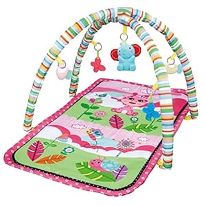 Eco Toys Animals Roze Speelkleed met Muziek CH93143