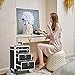 mefeir Aluminum Rolling Makeup Train Case, Portable Makeup Organizer Suitcase, Cosmetic Storage Box, Travel Beauty Luggage Trolley Lockable w/4 Removable Wheels & 2 Sliding Drawers (Black)