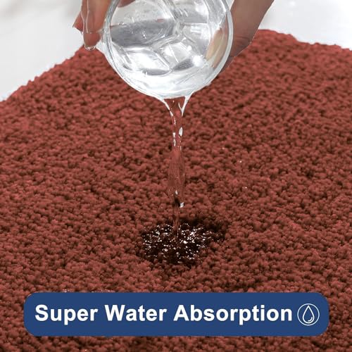 Image of Flooring India Co Newman Bath Mat 2500 GSM Super Soft Microfiber Anti Skid Slip Water Absorbent Bathroom Mats for Bedroom, Home, Door (40X60 CM, Rust)