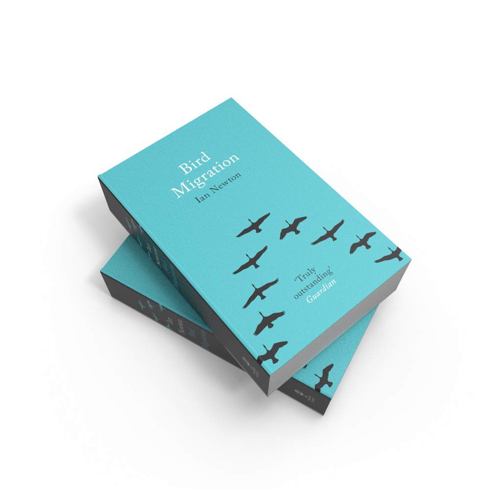 Bird Migration: A Captivating Non-Fiction Account of Global Wildlife Journeys and Seasonal Change