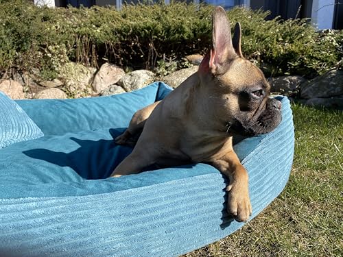 4L Textil Molly Cord Hundebett große Hunde Hundekörbchen aus Cord Hundekorb große Hunde waschbar Hundekissen XL (120x100 cm, Türkis)