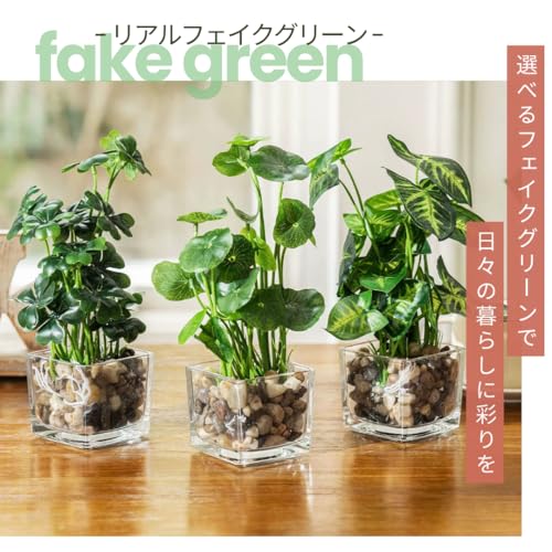 I'm so happy 観葉植物 フェイク 造花 ミニ 卓上 インテリア おしゃれ 人工 フェイクグリーン ガラスポット（常緑樹） (クローバー) [2]