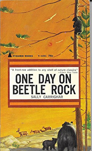 One Day on Beetle Rock B00J4GQHP8 Book Cover