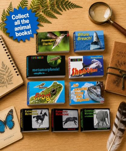 Image of Muybridge Flipbook 3-Pack for Kids 6-12, Animation Flip Books for Children | Horse, Cat & Elephant Motion Study on Flip Book Paper, Educational Animation History Flipbook Set for Boys & Girls