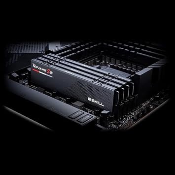 G.Skill Ripjaws S5 Intel XMP 16GB (1 * 16GB) DDR5 5600 MHz CL36-36-89 1.20V Desktop RAM Memory - F5-5600J3636C16GX1-RS5K