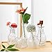 Set of 5 Single Bud Vase Small Glass Vase for Centerpiece Vintage Style,Thick Vase for Events,Home Décor
