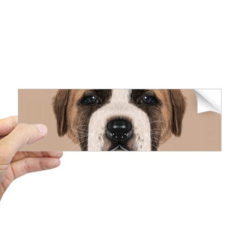 Autocollant fenêtre St.Bernard marron anti-UV et pose facile