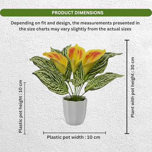 Image of fancymart Artificial Calla Lily Plant with Pot - 30 cm Height Decorative Flower Leaves (Pack of 1) | Realistic Faux Plant for Home & Office Decor | Table, Shelf & Desk Decoration