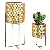 【DIMENSIONI ADATTE ALLA DECORAZIONE DELLA CASA】 La fioriera grande misura 20 x 20 x 45 cm, mentre la fioriera piccola misura 18 x 18 x 31 cm. Non occuperanno troppo spazio nella vostra stanza, la finitura metallica lucida si adatta bene alla maggior parte degli stili di arredamento della casa, senza fori di drenaggio sul fondo, sarà anche una buona scelta per posizionare sul piano del tavolo o sul mobile.