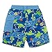 i play. Baby Boys Pocket Trunks w/Built-In Reusable Absorbent Swim Diaper, Royal Blue Turtle Journey, 24mo