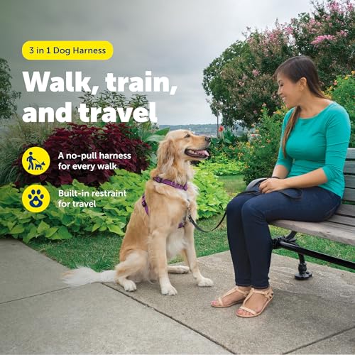 Image of PetSafe Plum 3-in-1 Harness, Large