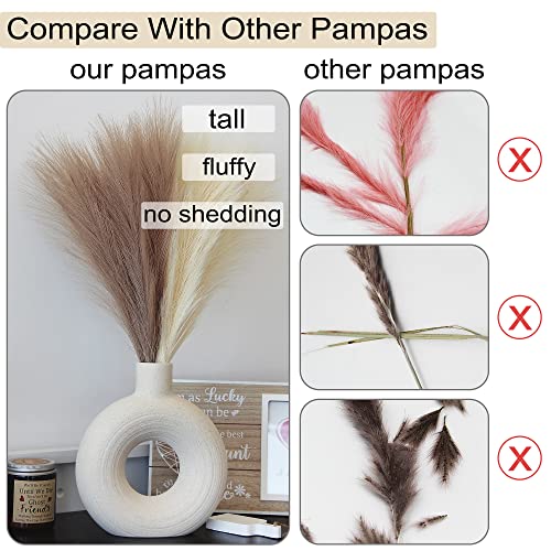 Brown Beige Faux Pampas Grass Decor, 6 Stems(3 Brown +3 Beige)-18'' Small Short Artificial Taupe Cream Pompous Grass Pampass Fluffy Fake Pompass Grass Branches Dried Plants Boho Flowers Floral Bulk #TOP3