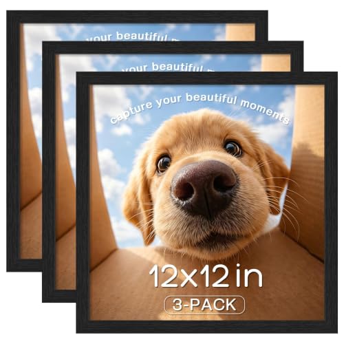 Image of Picrit 12x12 Picture Frame 3 Pack, Wall Mount Display, Black Wood Grain