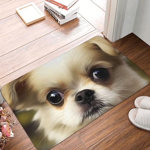 WSOIHFEC Paillasson antidérapant pour porte d'entrée, tapis de bienvenue pour petit chien, tapis de sol lavable, tapis de sol en flanelle douce, tapis de bain absorbant pour chambre à coucher, salle