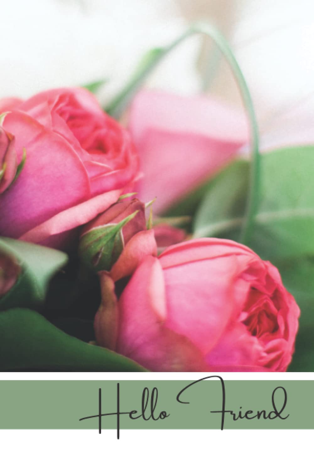 Hello Friend: Journal, Notebook, Paperback, Lined, 120 Pages, 6x9, Flowers, Floral, Feminine