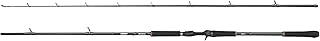 Abu Garcia Beast X Casting Rod, Freshwater Angler Fishing for Pike Perch & Zander, Strong Leightweight & Versatile, Green, Ambidextrous Carbon Fish Rod