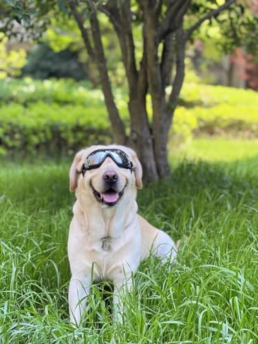 Sanplmg Dog Soft Cute Sunglassespet Gogglesflexible Framewind Proofdust Proofeye Protectionwith Adjustable Strapsfor Medium Dogsfor Long Snout Dogs Cyclingskimotorcycle 1packblackgray  Cucciolini Doodles Sanplmg dog soft cute sunglassespet gogglesflexible framewind proofdust proofeye protectionwith adjustable strapsfor medium dogsfor long snout dogs cyclingskimotorcycle 1packblackgray   cucciolini doodles