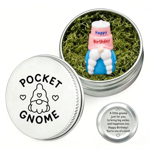 Pocket Gnome in a Tin Mini Gnomes Funny Gnome Dwarf Mini M-ini Resin Figures Birthday Ornament Birthday Gifts Gonk Gifts for Women Funny Birthday Gift