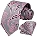 HISDERN Paisley Extra Long Tie for Men Classic Pink Ties and Pocket Square Formal Big and Tall Men Necktie with Handkerchief for Wedding Party