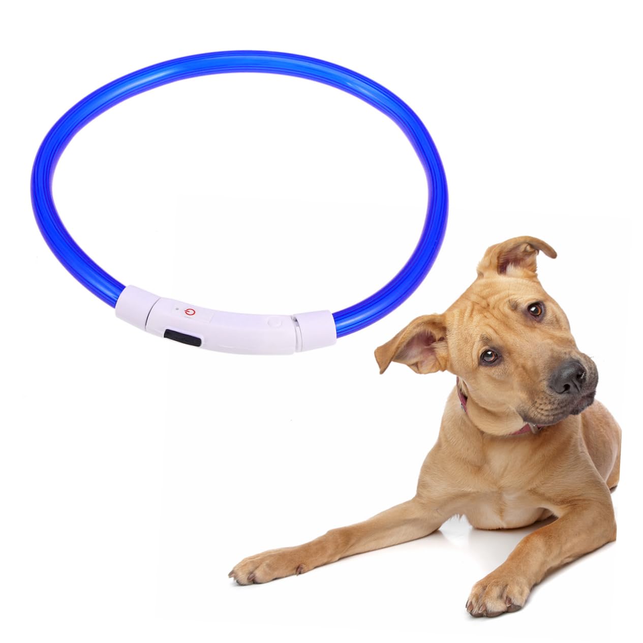 BESPORTBLE 3pezzi Collare Led Ricaricabile Per Collare Notturno Usb Moduli Regolabili Per Notturne Blu