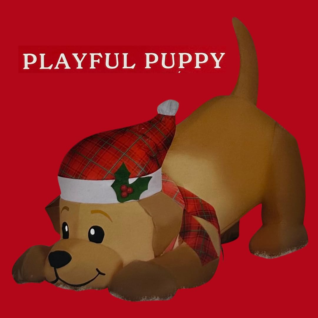 Déguisement Chien Père Noël pour chien