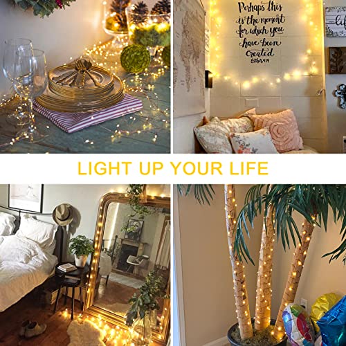 Jmexsuss copper string lights 5 Jmexsuss copper string lights - image 6