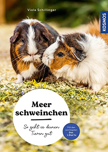 Meerschweinchen: So geht es deinen Tieren gut – auswählen –...