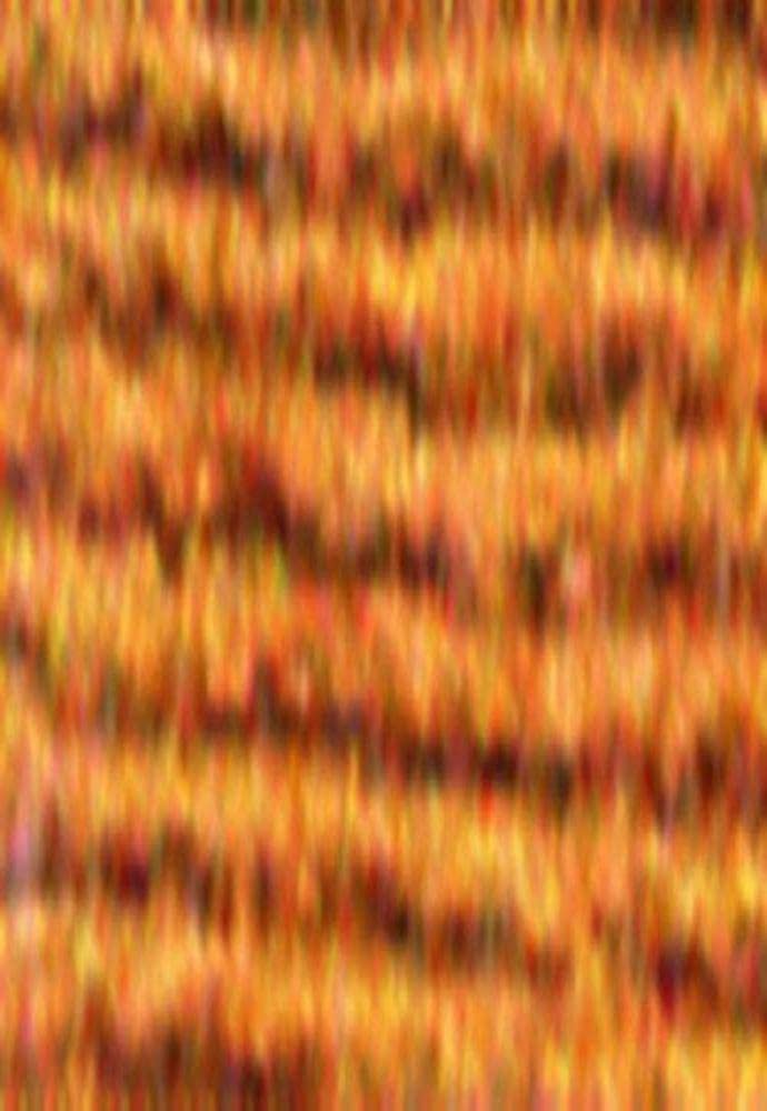 SullivansLt Brown-Floss Sullivans, Acrylic, Multicolour (Pack of 12)