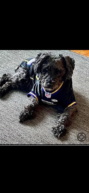 Greenies Pill Pockets for Dogs Large Size, Soft Dog Treats, with Real Peanut Butter, 15.8 oz. Pouch (60 Treats) photo review