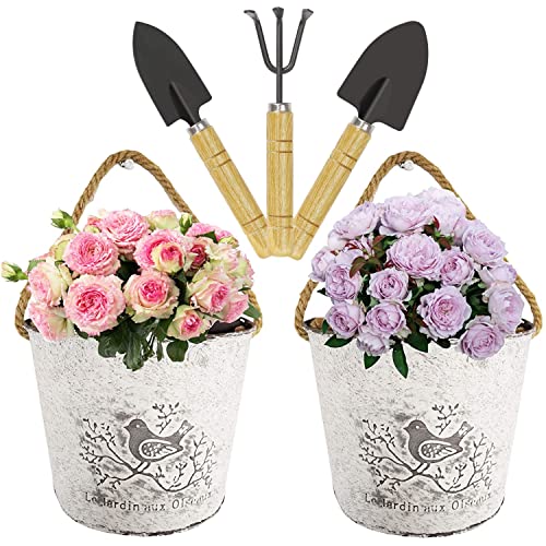 2 Sets Blumentopf Hängend, Hängetopf für Pflanzen Hänge Pflanzentöpfe Metall Wandvasen, Blumentöpfe Zum Aufhängen Hängetöpfe Balkon mit 3 Sets Gartenwerkzeug Schaufel Gartenkralle Set Cover
